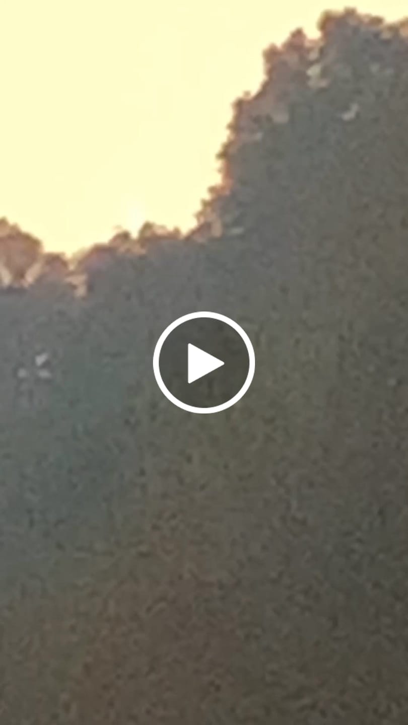 Customer video review of Cheap THCA Flower Quarter Pound