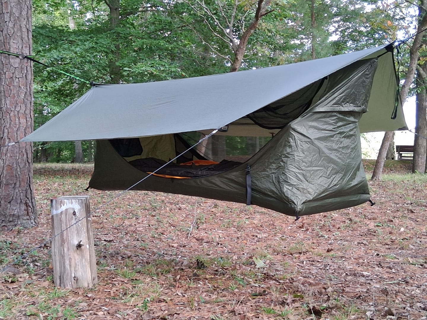 Customer photo review of Haven XL