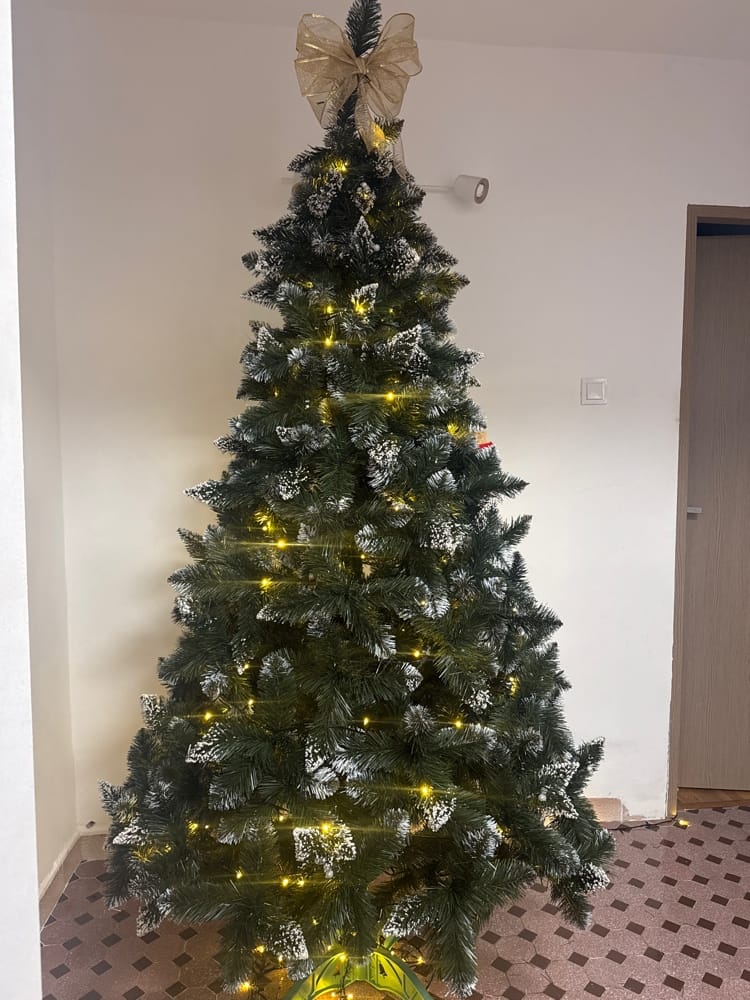 Customer photo review of Brad artificial de Crăciun Fulg de Nea, nins cu merișoare albe, 2D, 220 cm