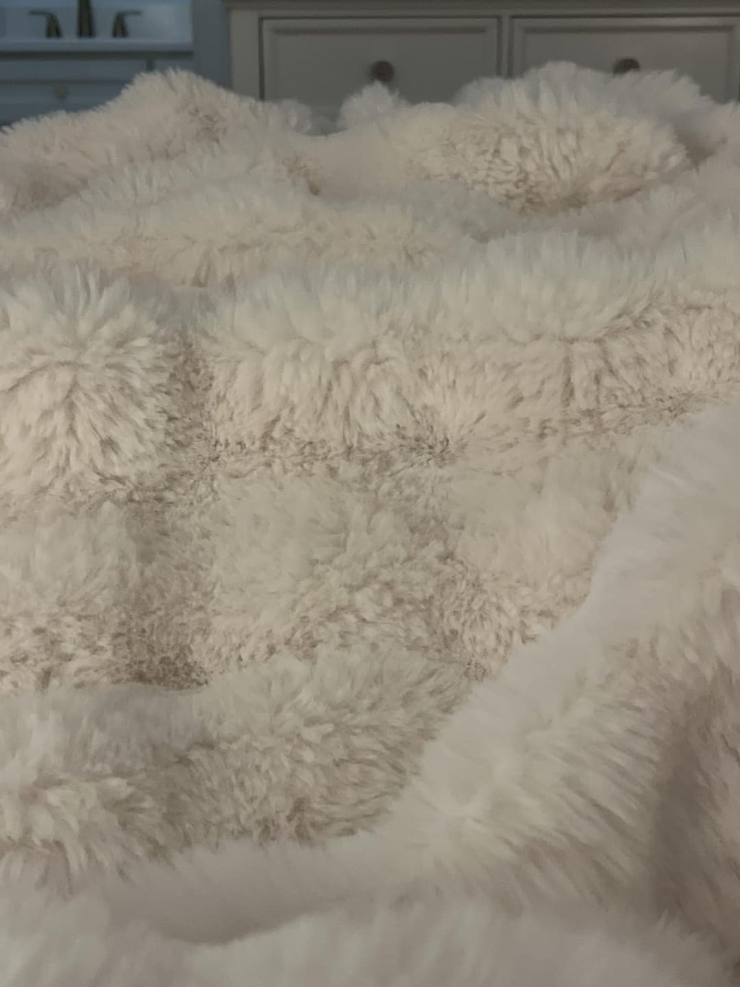 Customer photo review of CloudNap Plush Throw Blanket