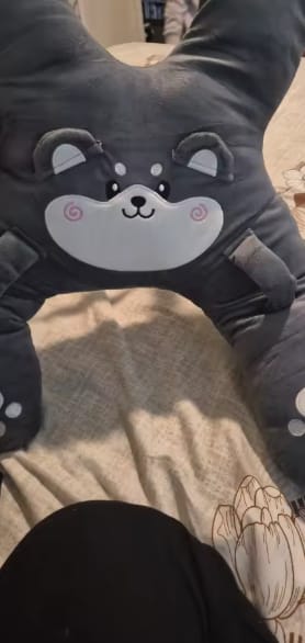 Customer photo review of Dormilú™ - Cojín de Viaje para Niños