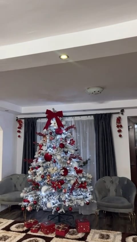 Customer photo review of Brad artificial de Crăciun Nordic, nins, 3D, 230 cm