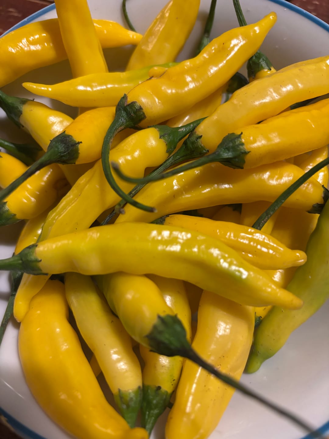 Customer photo review of Chili 'Lemon Drop'