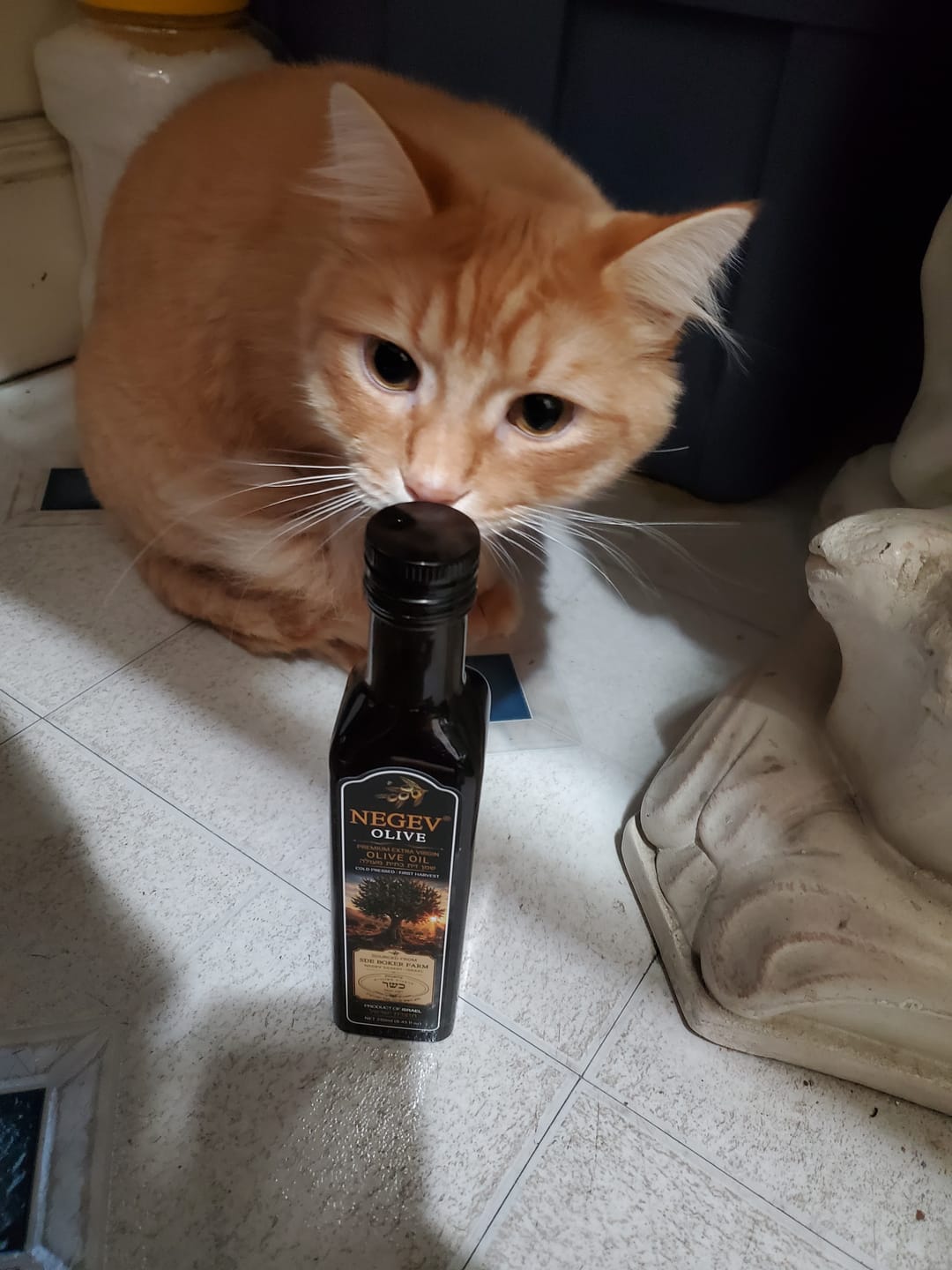 Customer photo review of NEGEV Israeli Extra Virgin Olive Oil כשר