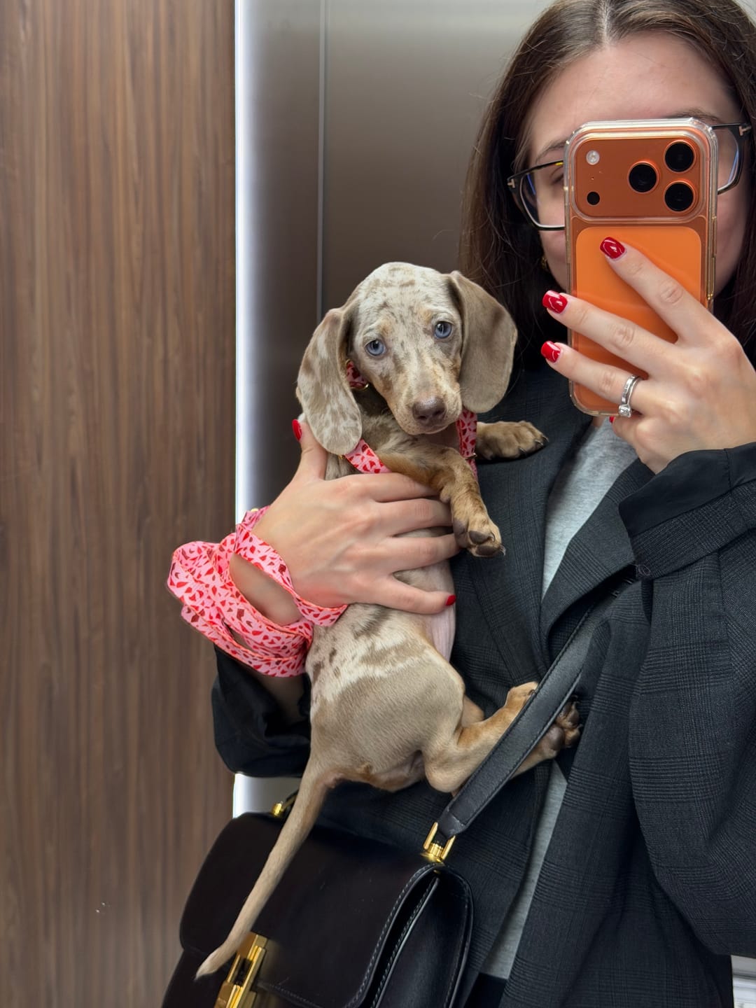 Customer photo review of Szelki guard "Pink Terrazzo" - złote okucia