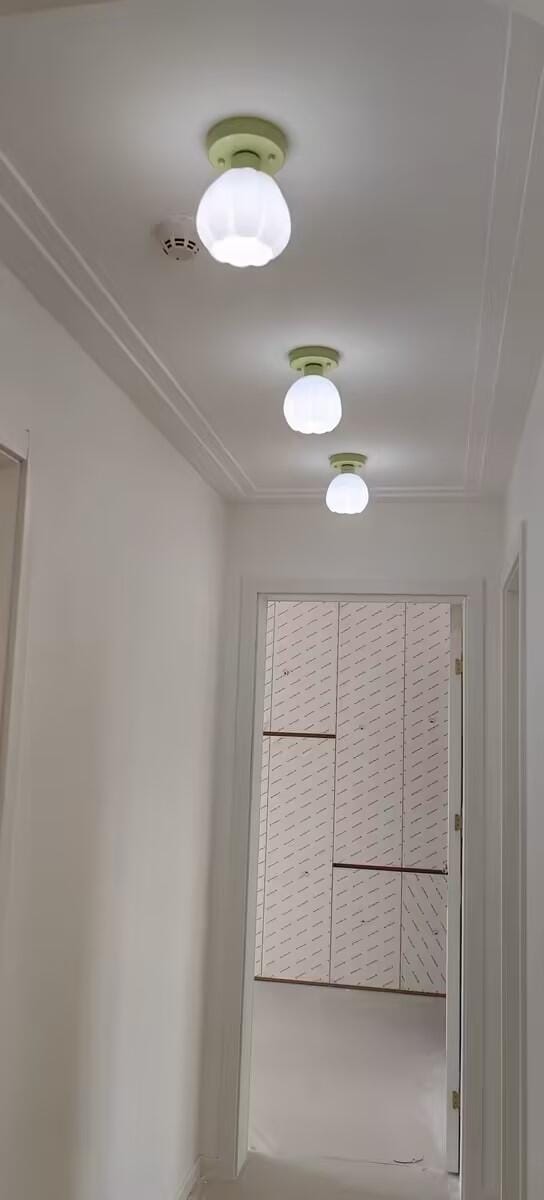 Customer photo review of Flower Semi Flush Ceiling Light, Glass Shade, Green Base, 15 cm