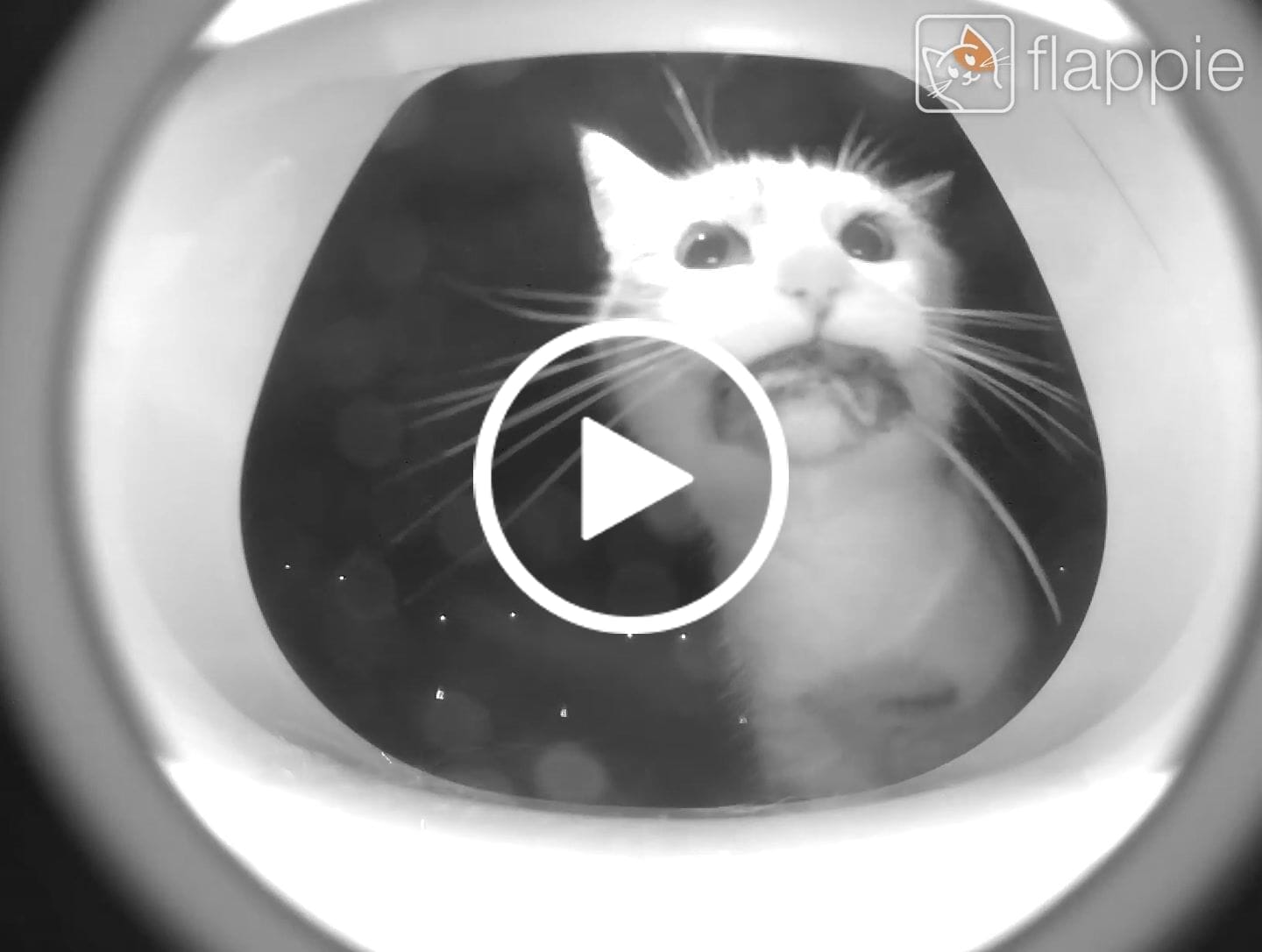 Customer video review of Flappie®