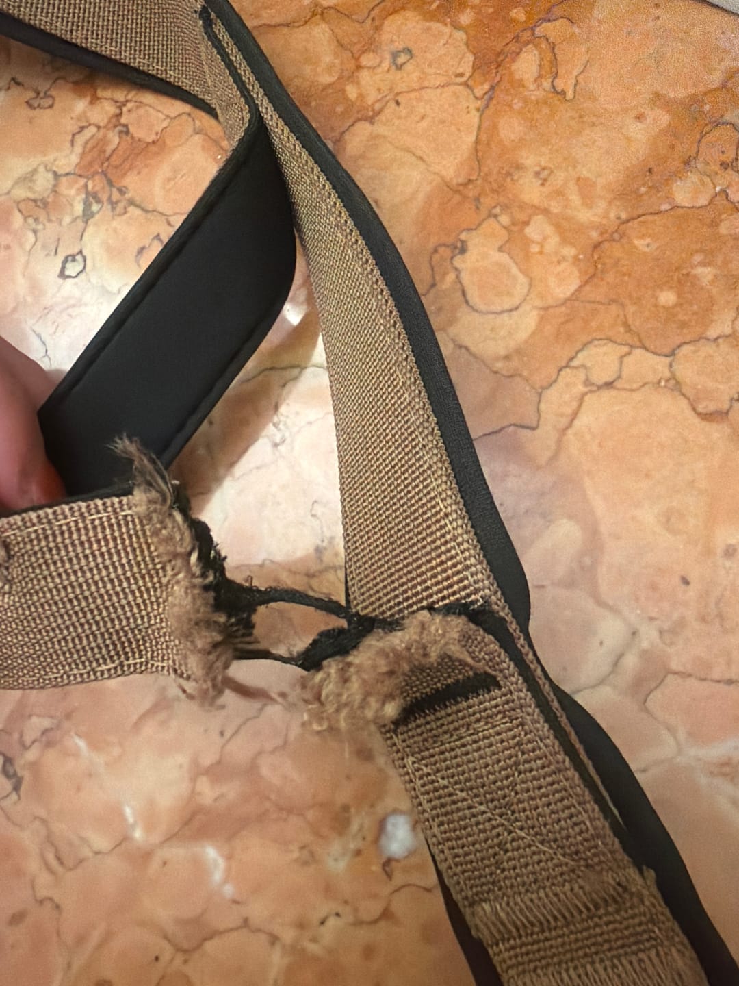 Customer photo review of Guinzaglio Sniper 2.0
