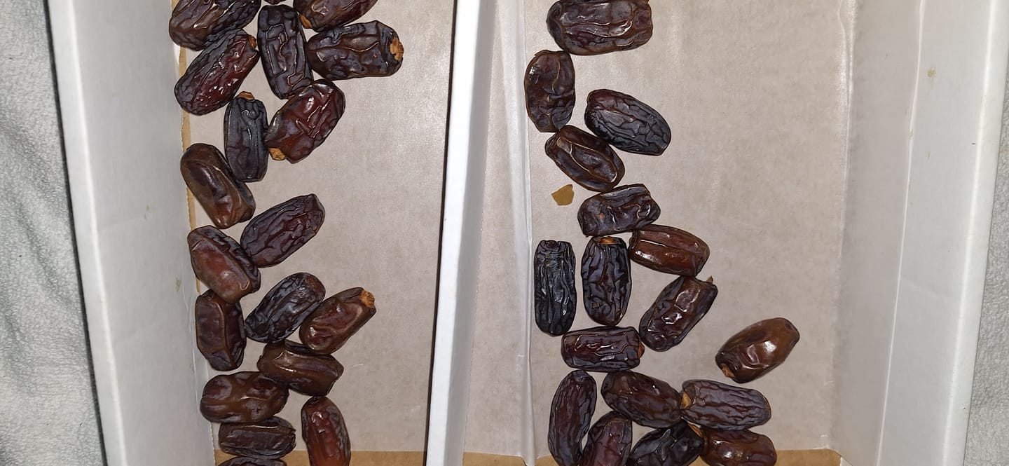 Customer photo review of Organic Medjool Cooking Dates Box