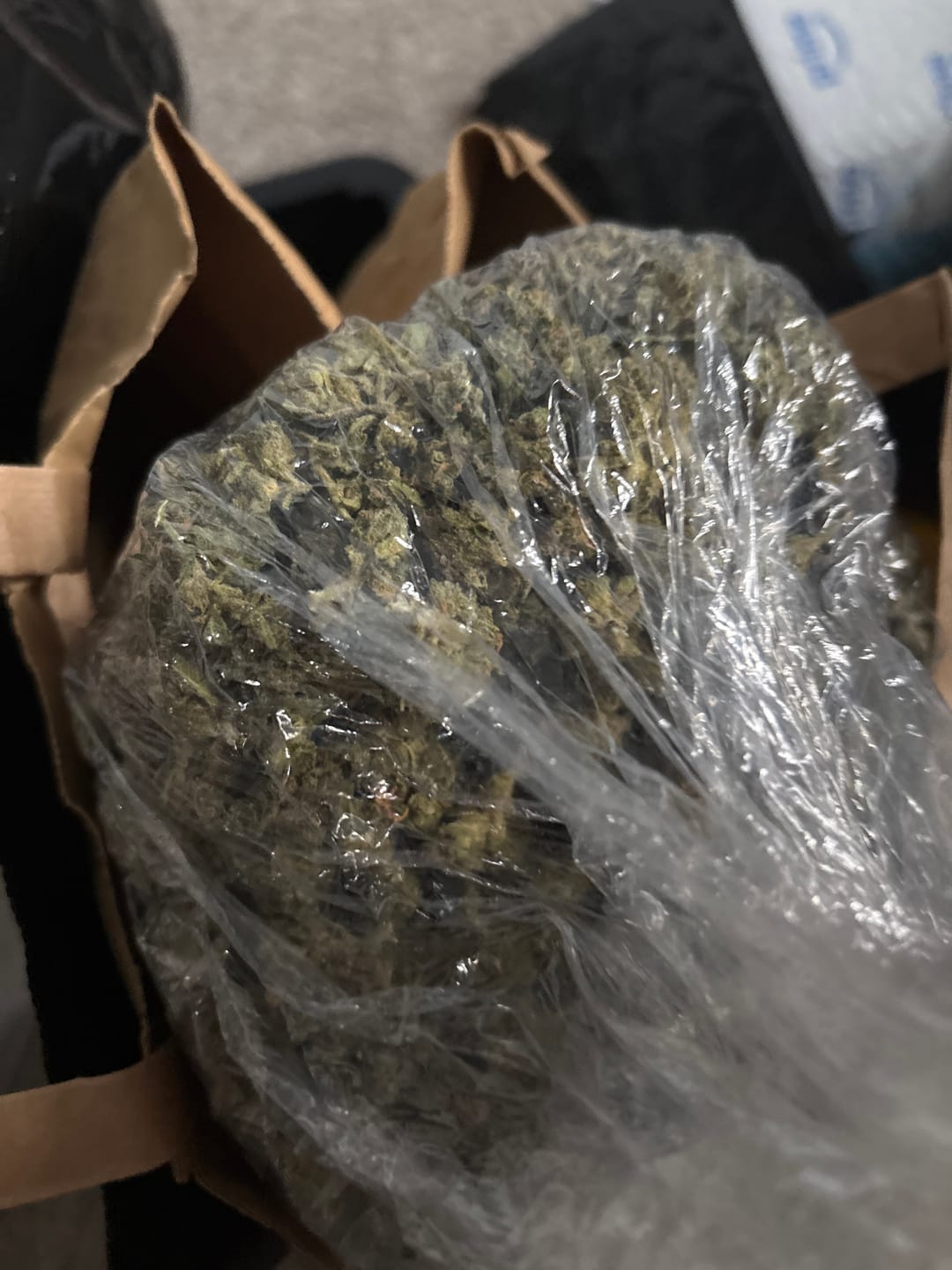 Customer photo review of Chem Dawg Minis - Bulk Minis - Hybrid