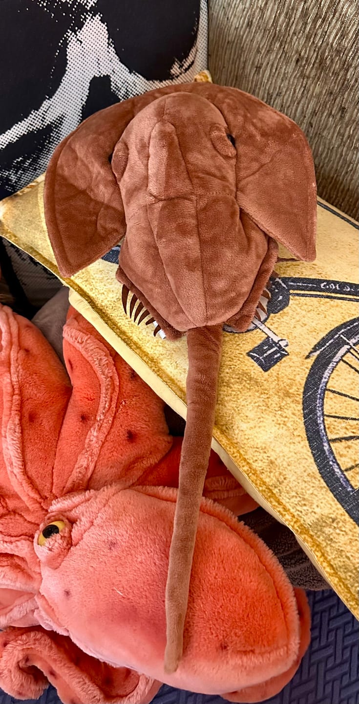 Customer photo review of Horseshoe Crab Soft Stuffed Plush Toy