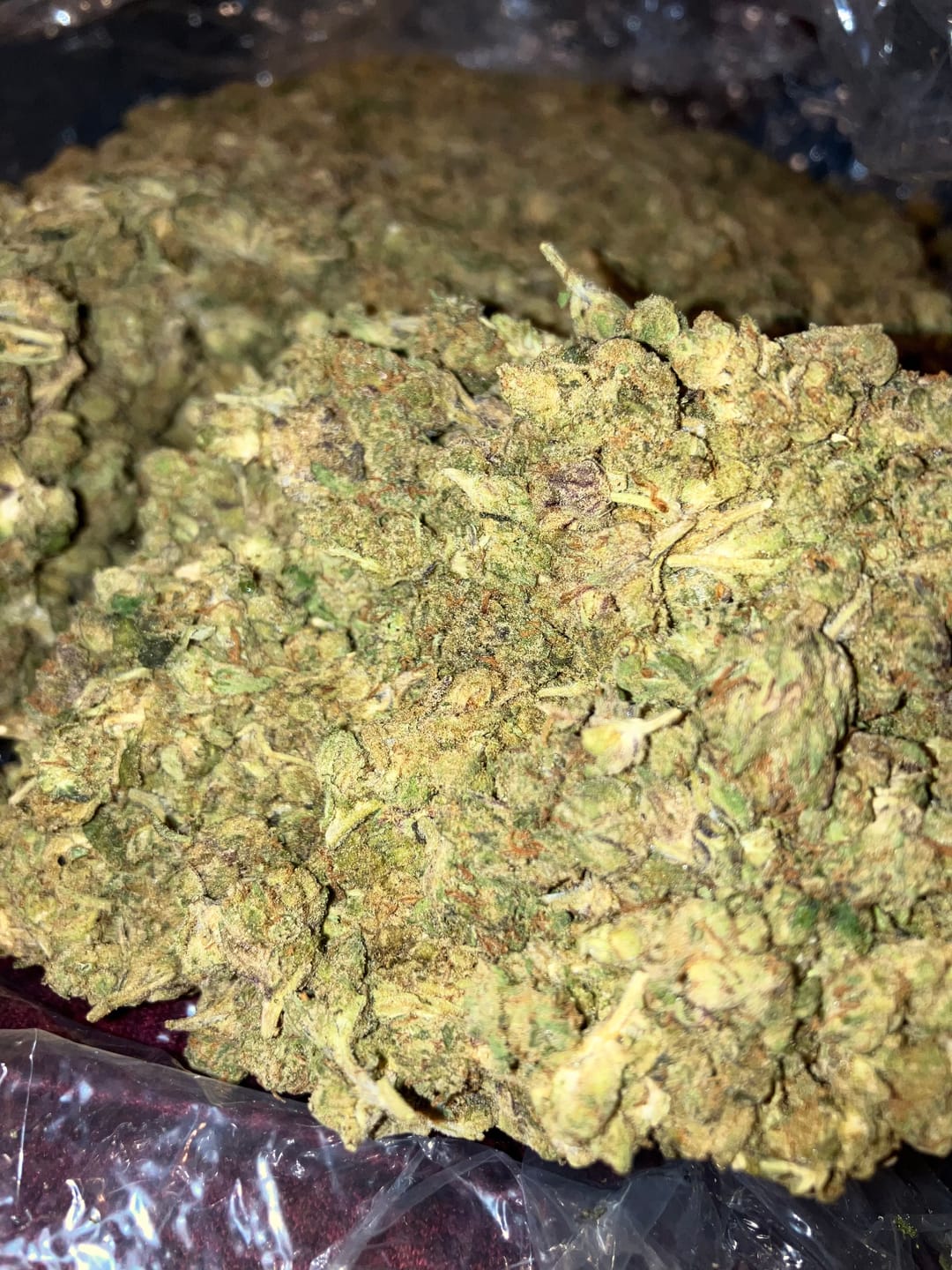 Customer photo review of Fidel Runtz Minis - Bulk Minis - Hybrid