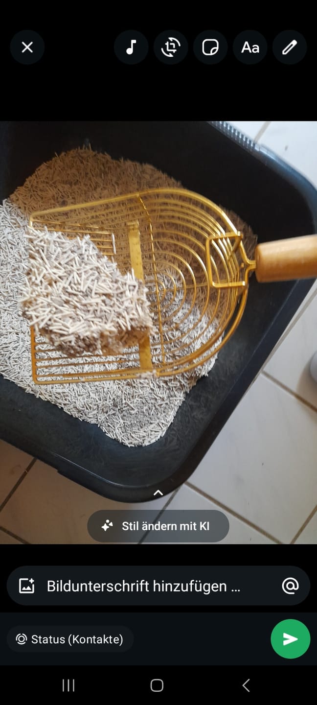 Customer photo review of Katzenstreu (Angebot)