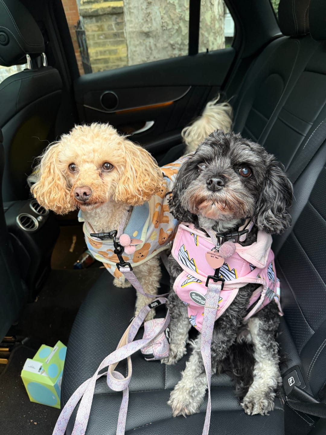 Customer photo review of Rain Jacket - Lightning Zoomies