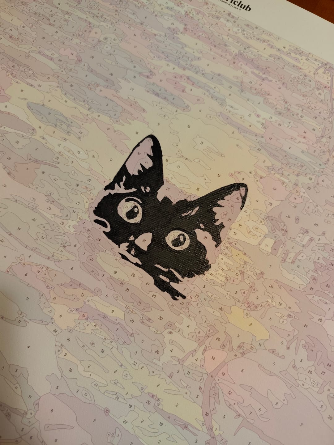 Customer photo review of A Water lilies cat | Paint by Number