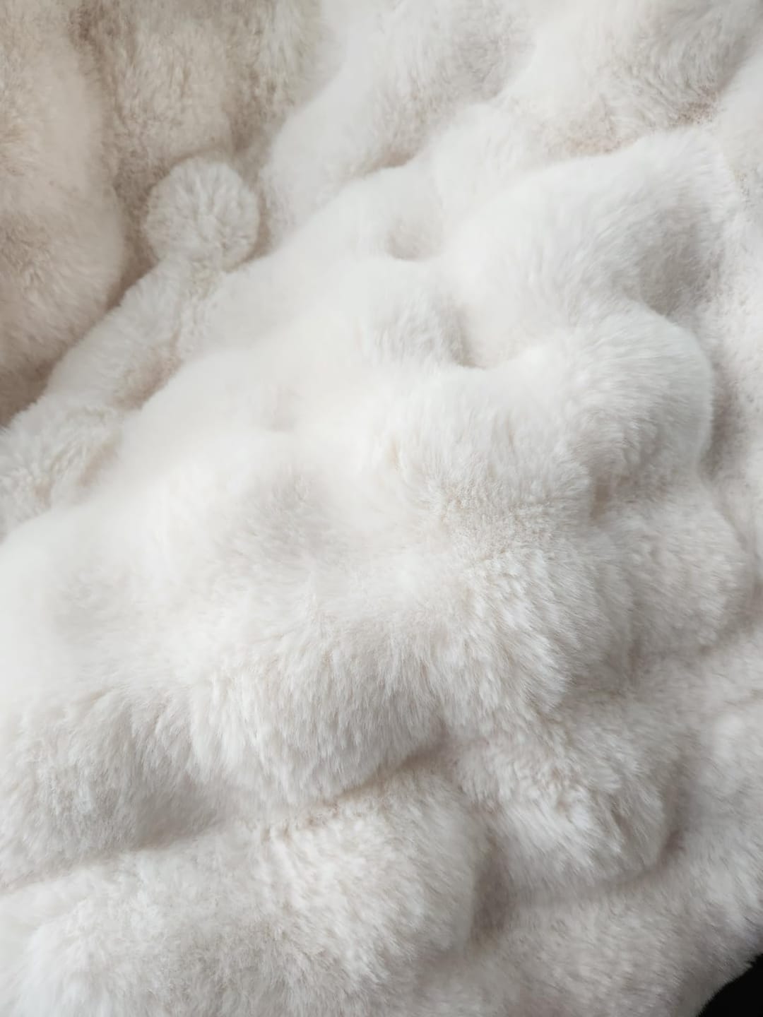 Customer photo review of CloudNap Plush Throw Blanket
