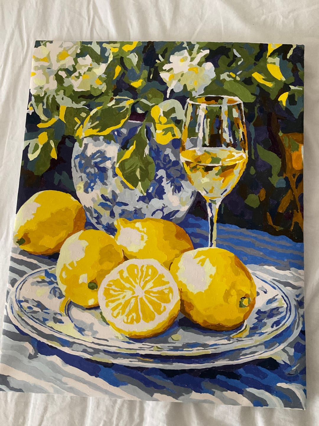 Customer photo review of Lemons and Wine | Paint by Numbers
