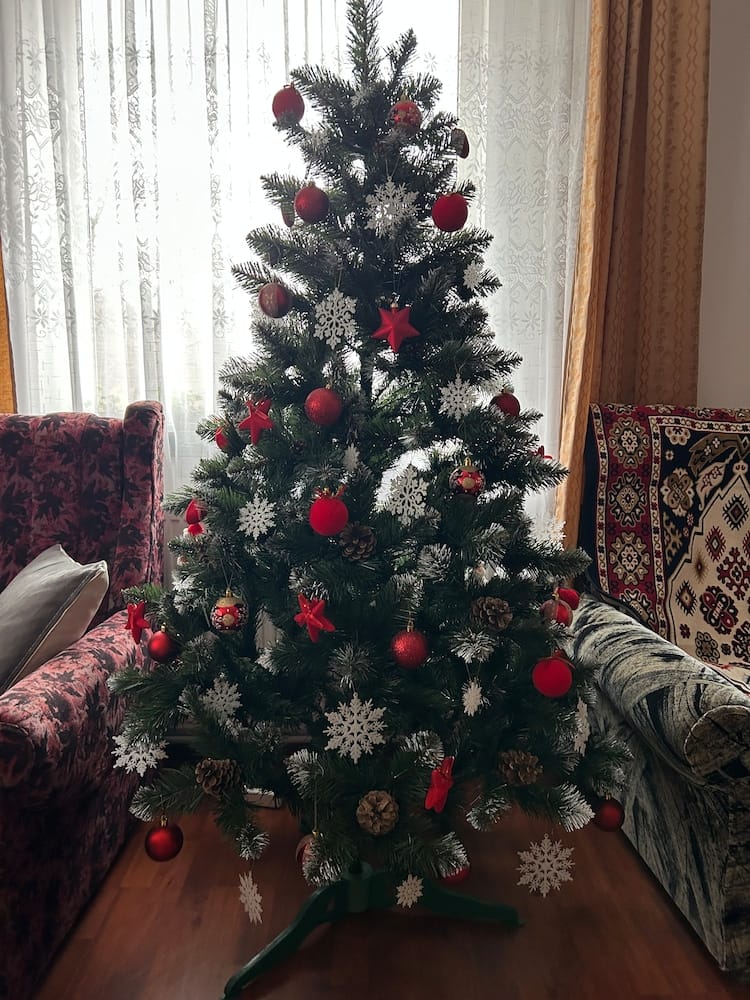 Customer photo review of Brad artificial de Crăciun Pădure de Iarnă, nins cu conuri naturale, 2D, 180 cm