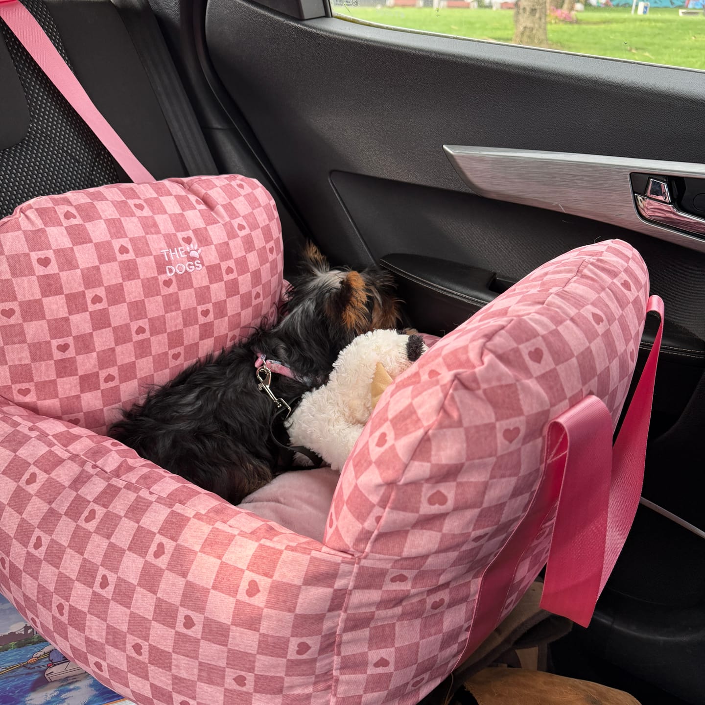 Customer photo review of Asiento Primera Clase THE DOGS — Viajes seguros y cómodos