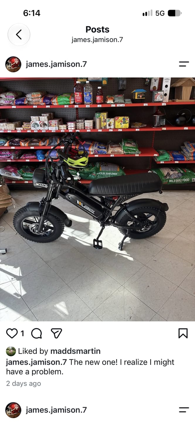 Customer photo review of Eskute® V100 16*4.0" Mini Electric Bike