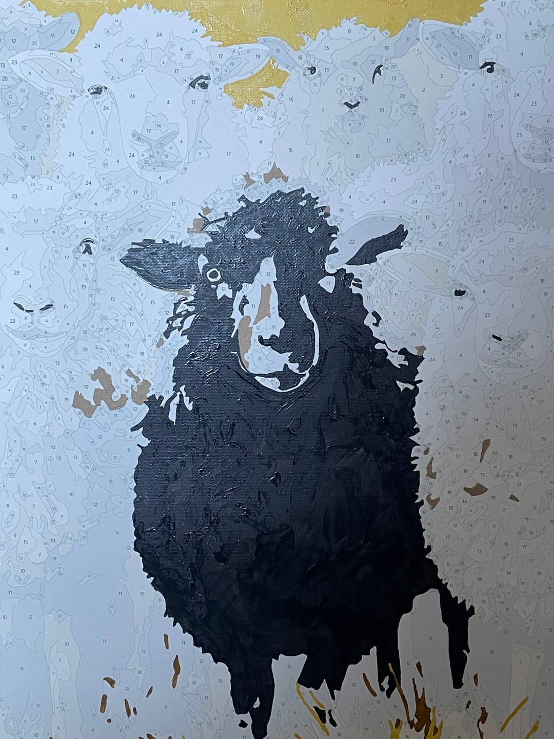 Customer photo review of Black Sheep | Paint by Number