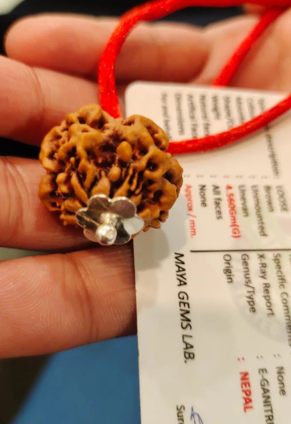 Customer photo review of Nepal Origin 1 Mukhi Rudraksha – 100% Natural & Certified