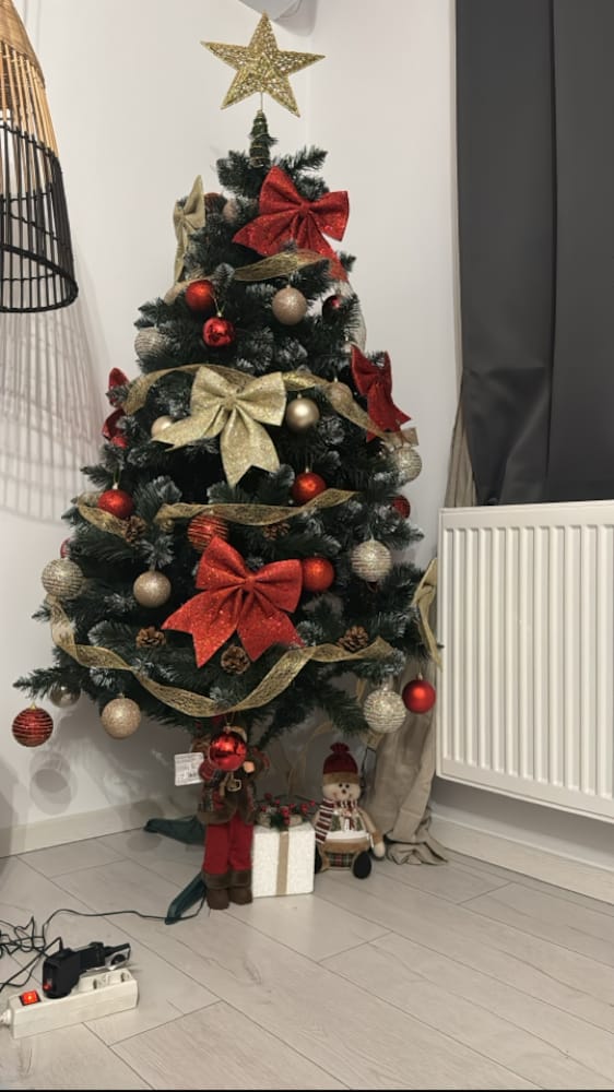 Customer photo review of Brad artificial de Crăciun Pădure de Iarnă, nins cu conuri naturale, 2D, 180 cm
