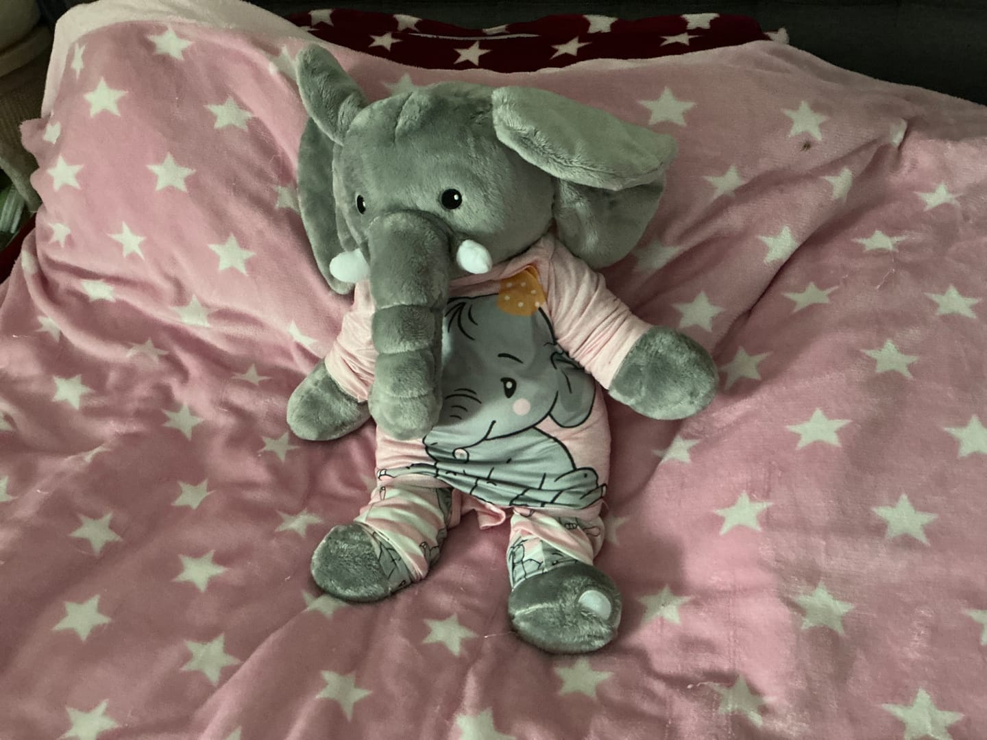 Customer photo review of Lotgenootje Olifant 2kg