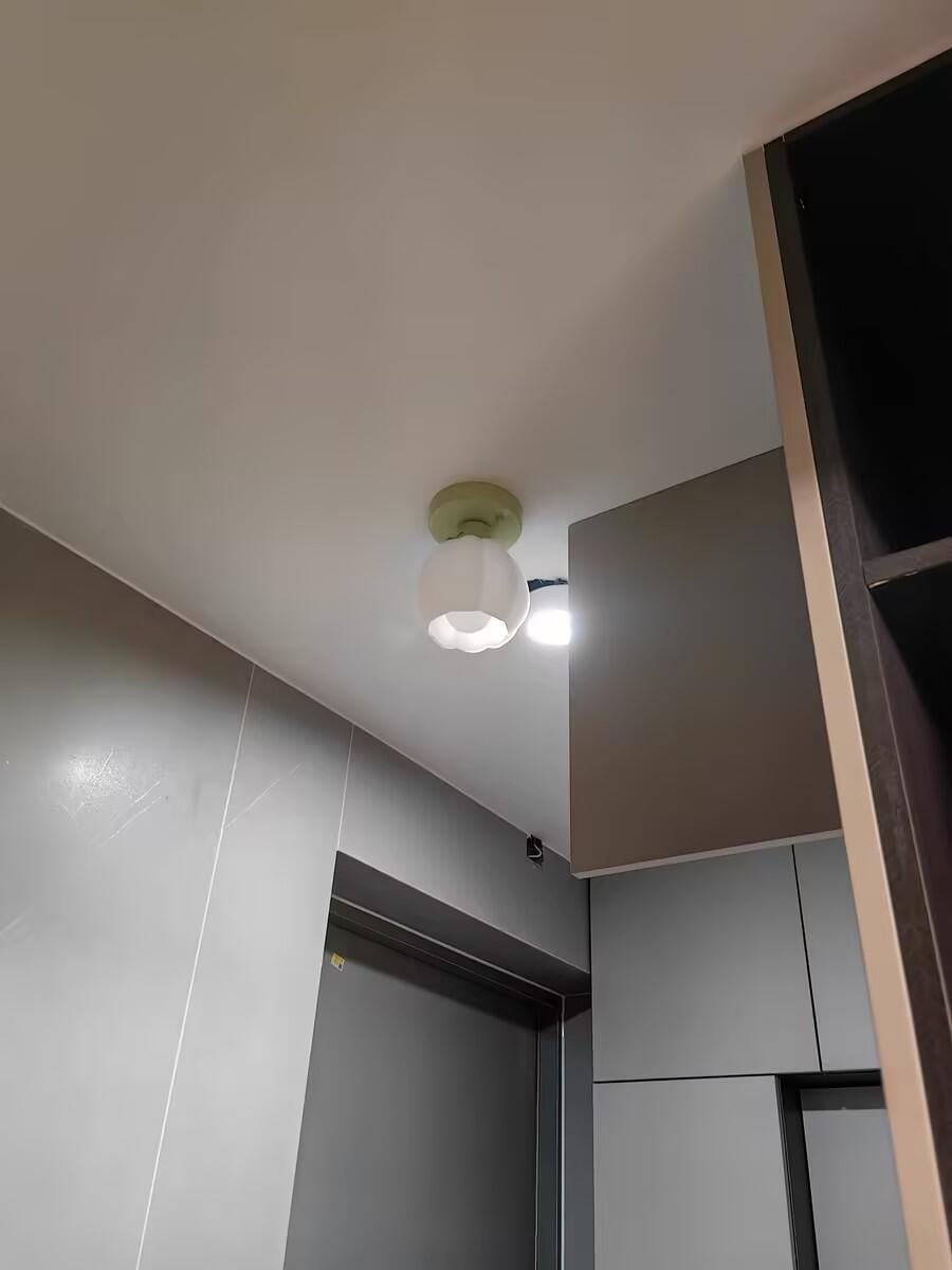 Customer photo review of Flower Semi Flush Ceiling Light, Glass Shade, Green Base, 15 cm