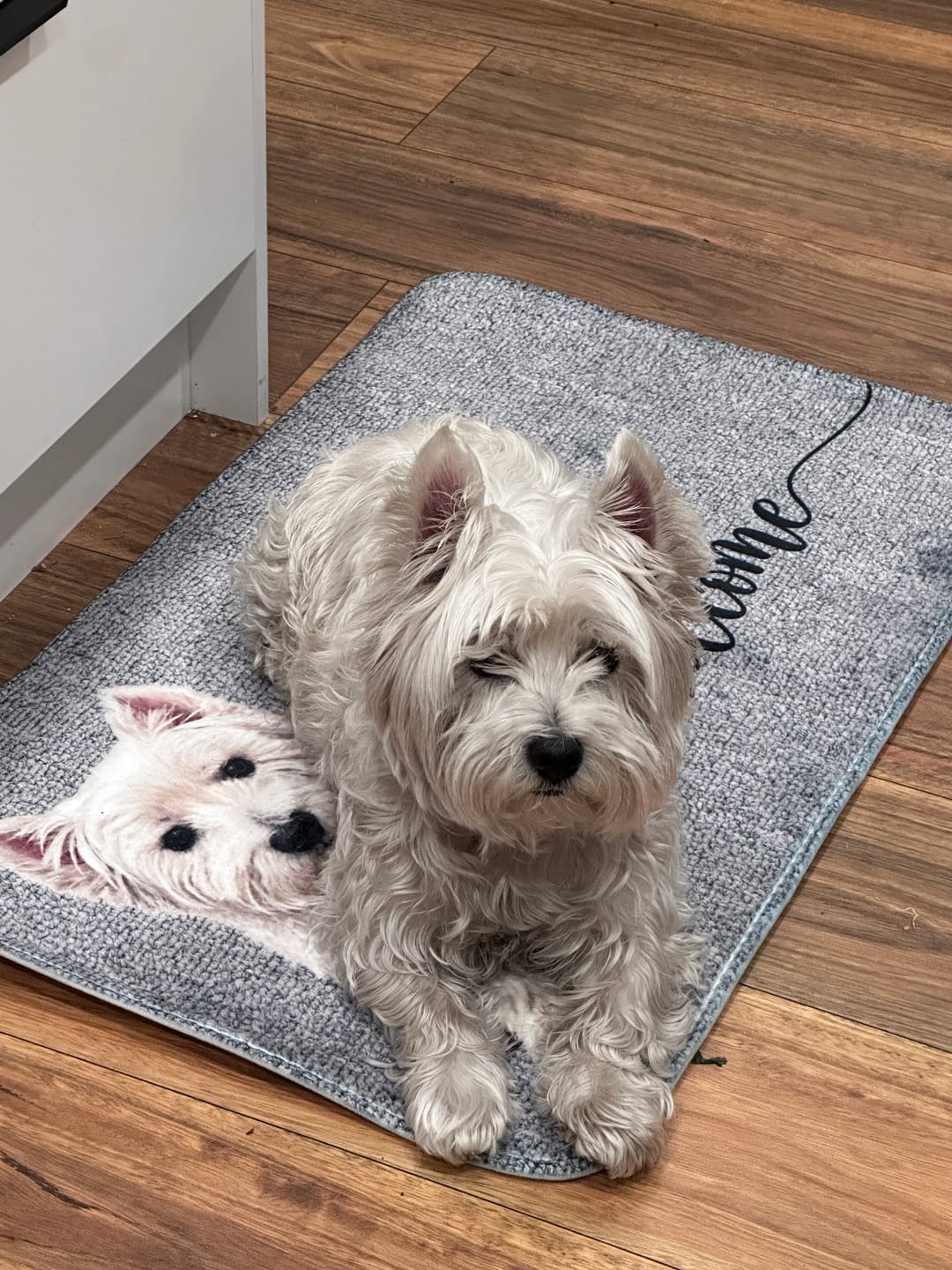 Customer photo review of Personalised Doormat - Welcome with Pet Portrait