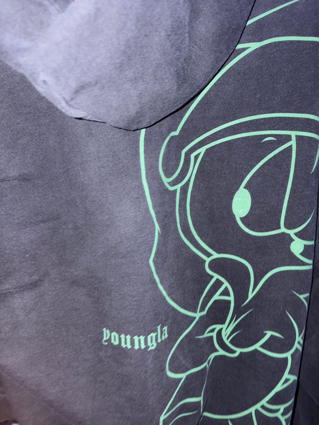 Customer photo review of 5257 - Looney Tunes Plaid Zip-Ups