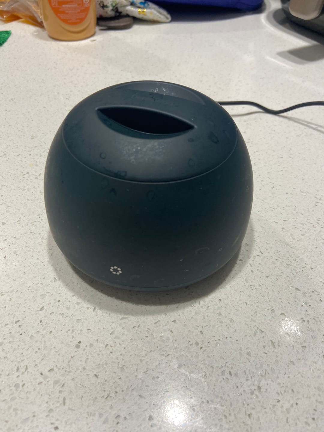 Customer photo review of Dental Pod