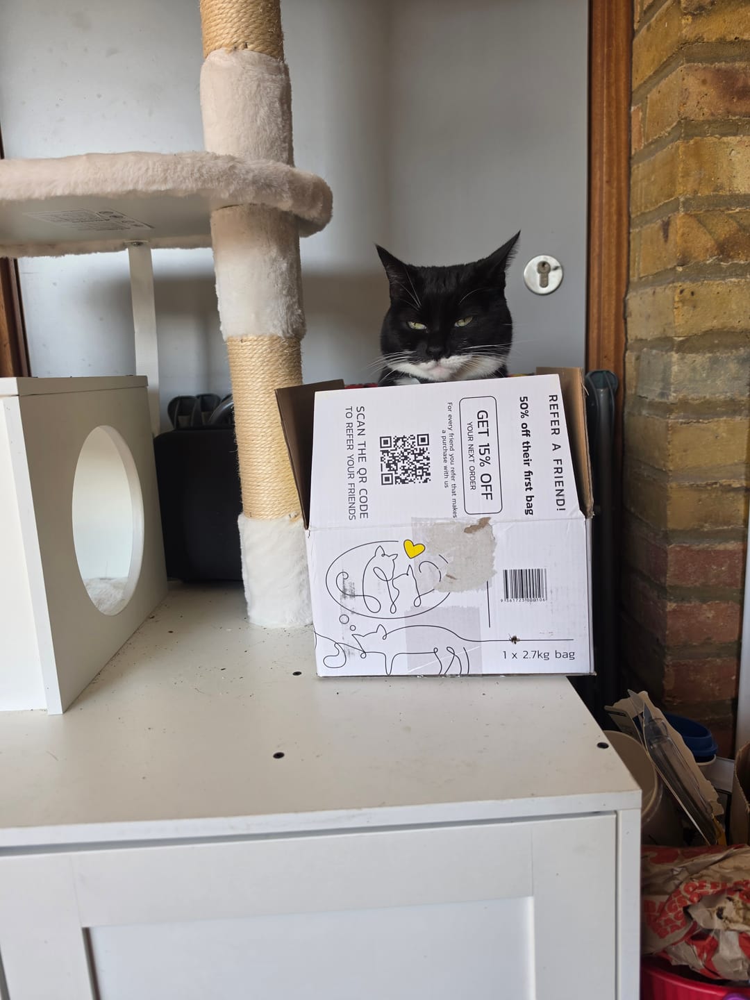 Customer photo review of Fit Litter
