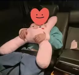 Customer photo review of Dormilú™ - Cojín de Viaje para Niños