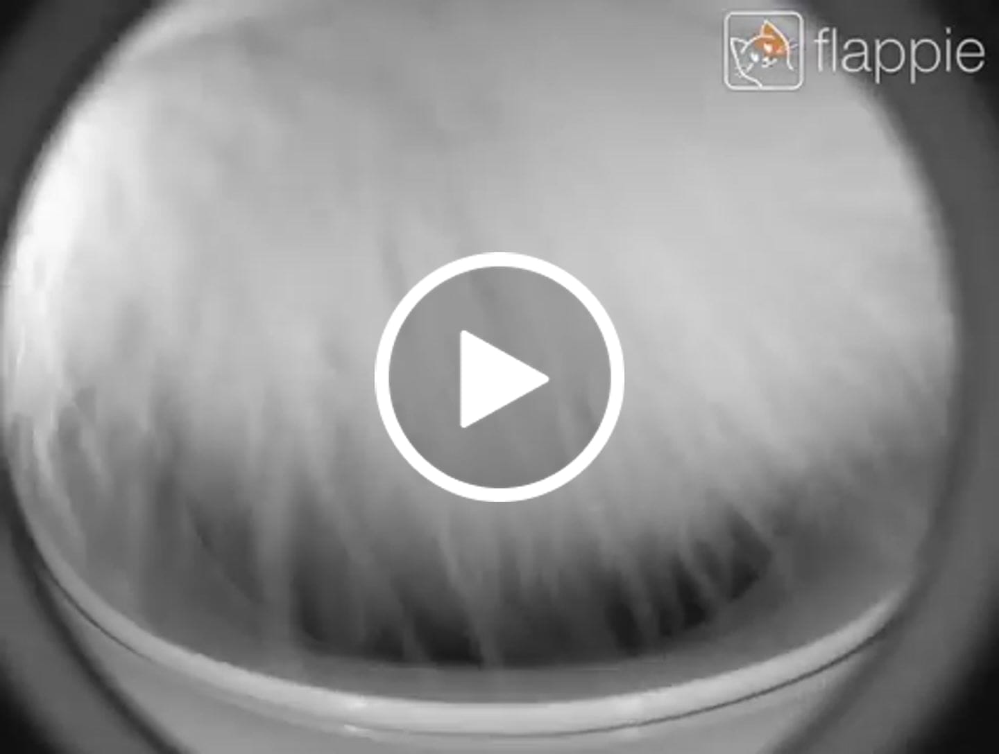 Customer video review of Flappie®