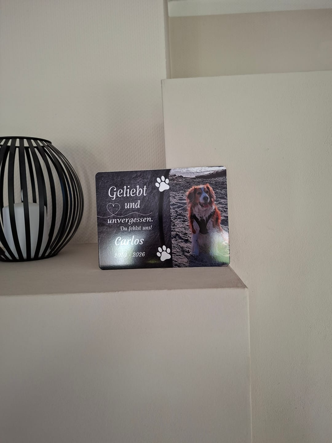 Customer photo review of Hunde Gedenktafel mit Foto & Spruch (UV- & Wetterfest)