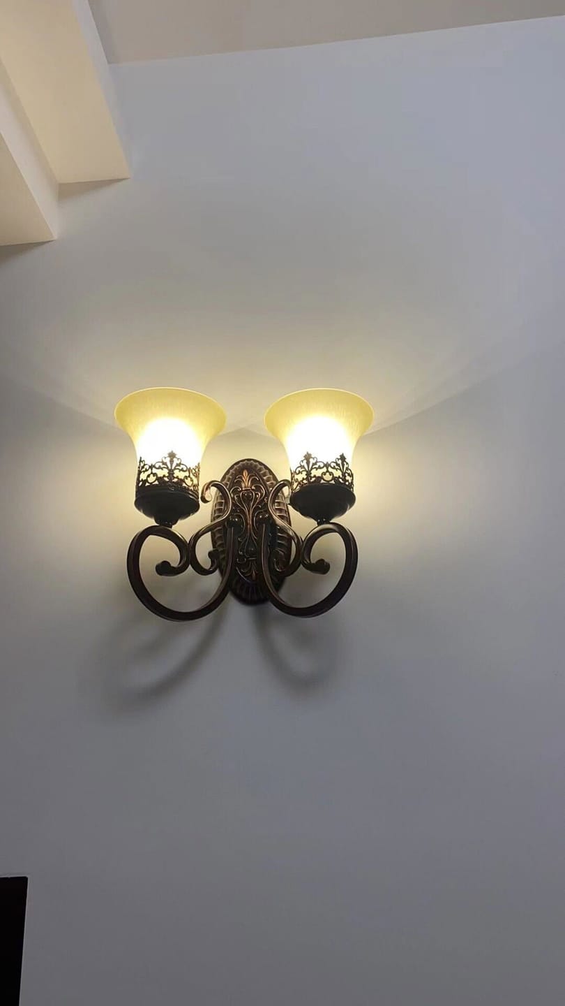 Customer photo review of Black Iron Wall Light, Two Arms, Glass Shades, Wall Sconce