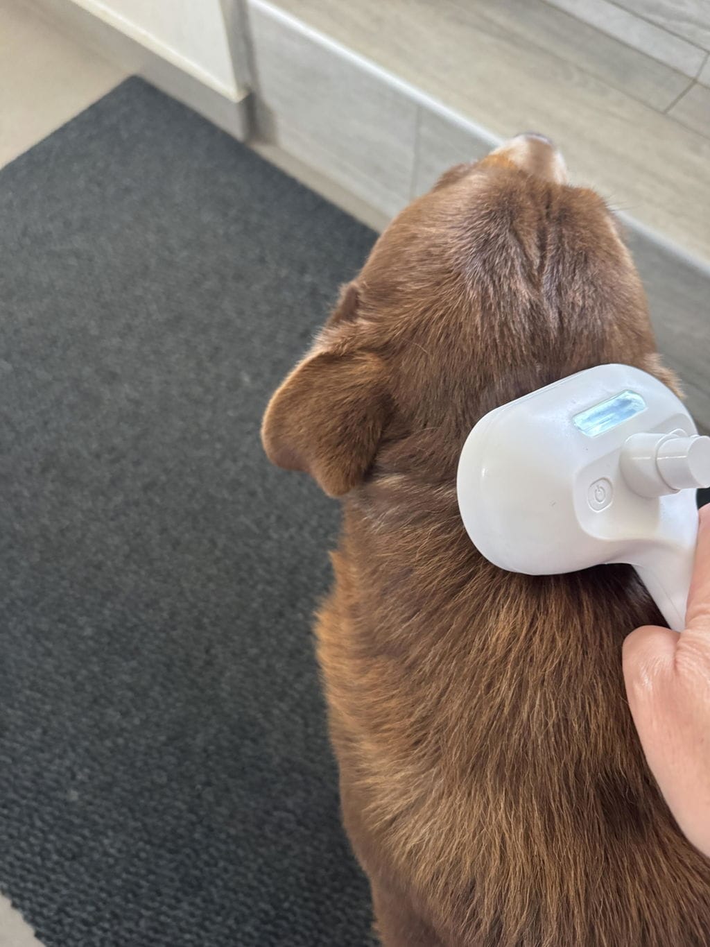 Customer photo review of Test produkt
