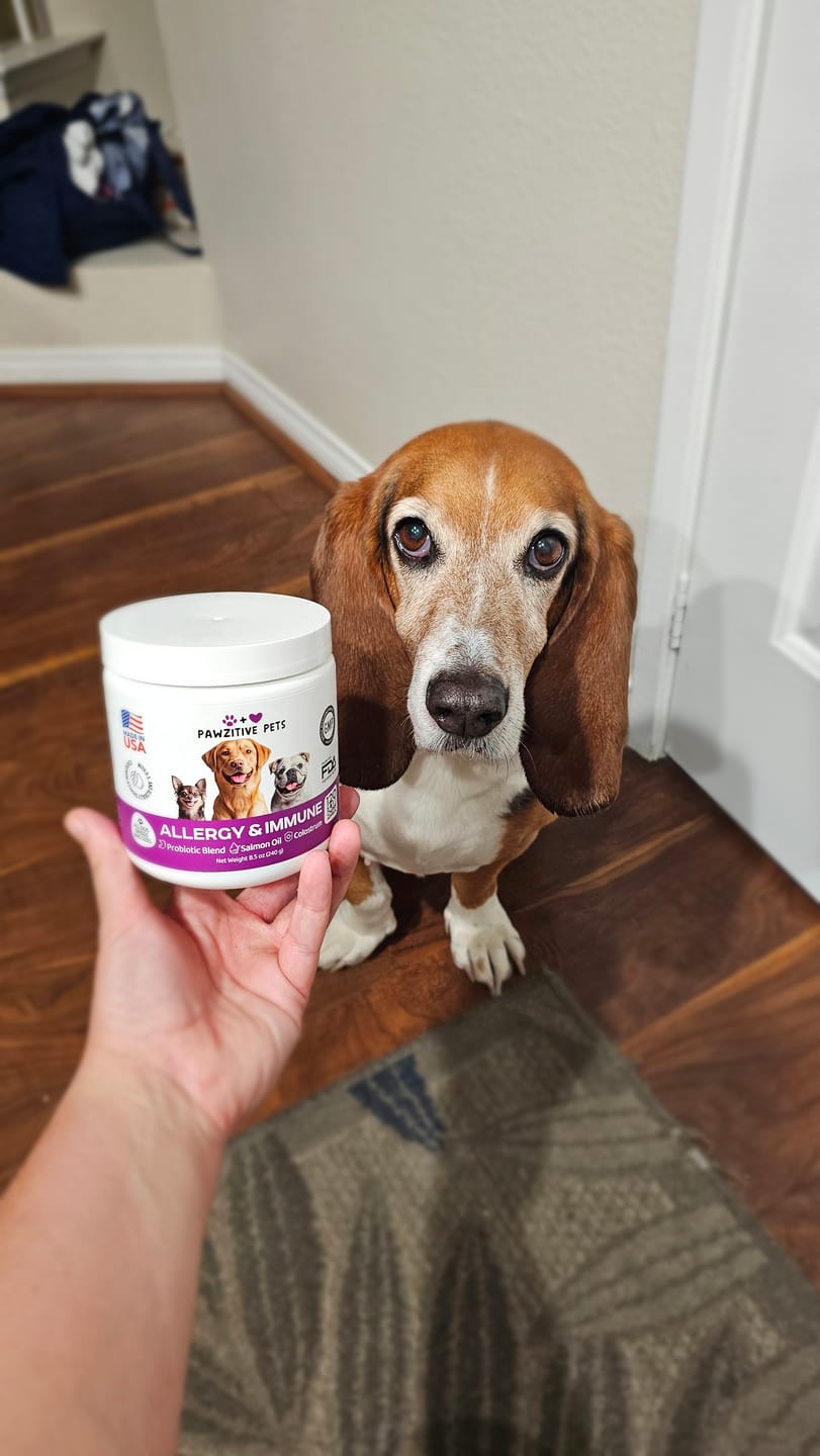 Customer photo review of Dog Allergy Chews for Itchy Skin, Paw Licking & Seasonal Allergies – Immune Support, 120 Soft Chews (Beef Flavor)