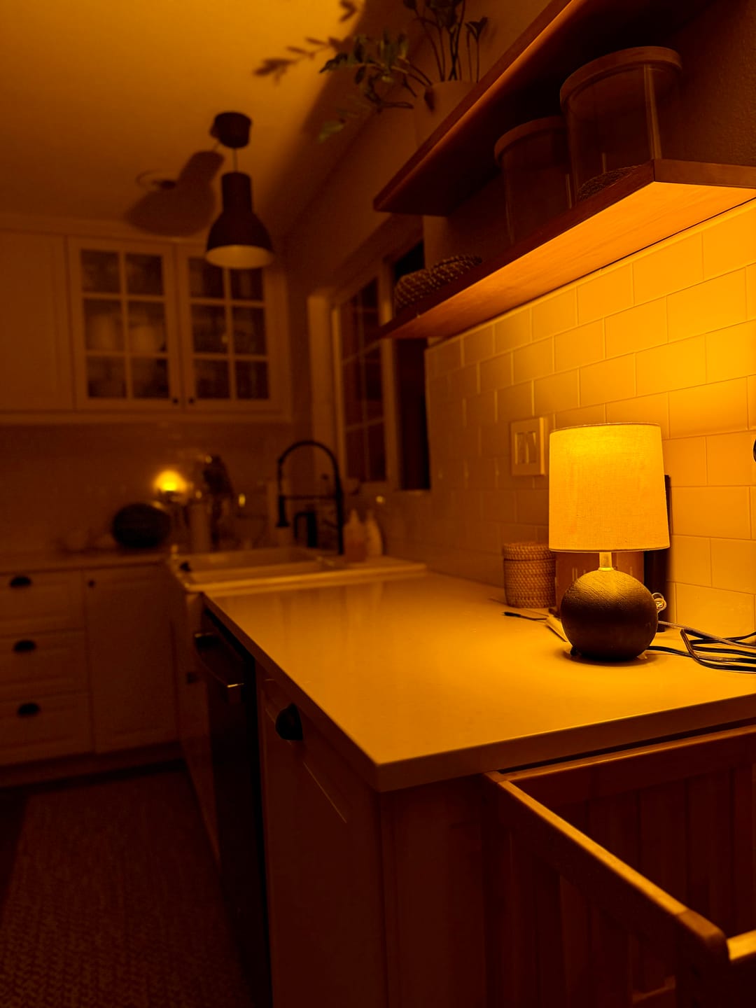 Customer photo review of Circadian Lightbulb™