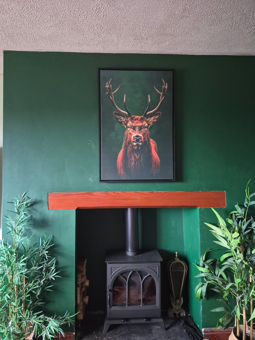 Customer photo review of Highland Stag Print