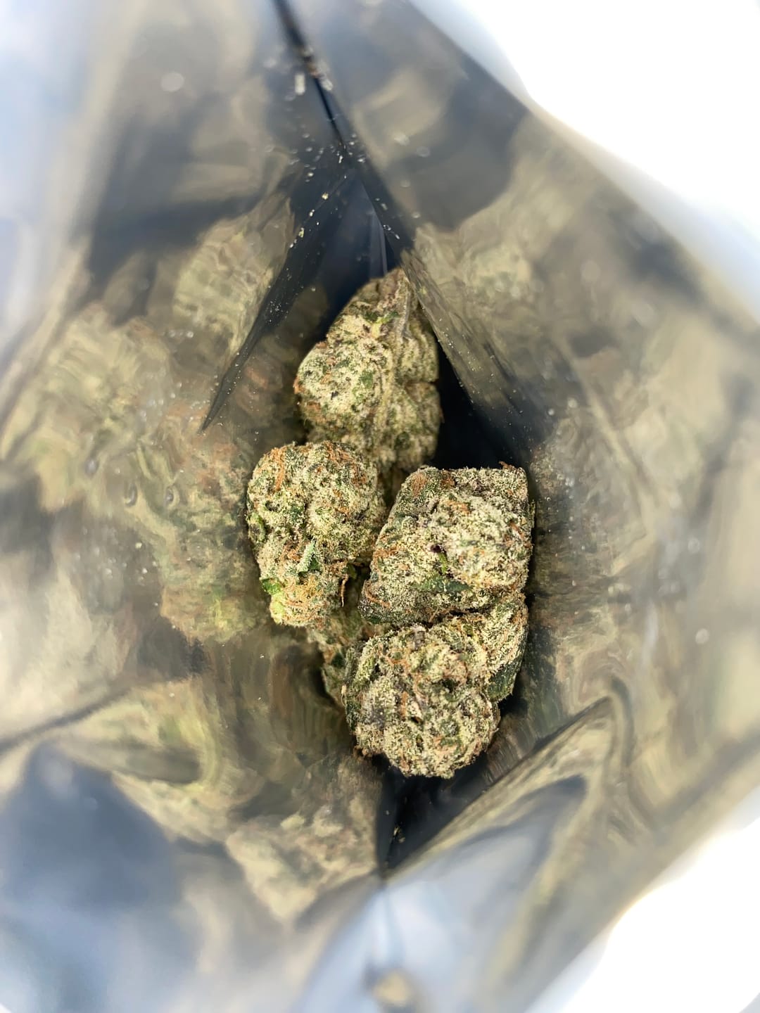 Customer photo review of Gummy Sorbet - THCa Flower