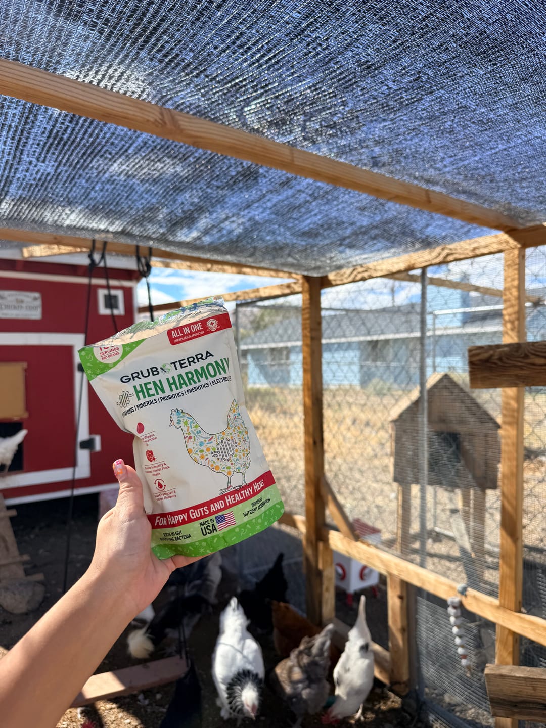 Customer photo review of Hen Harmony. The Daily All In One Supplement for Flock Resilience