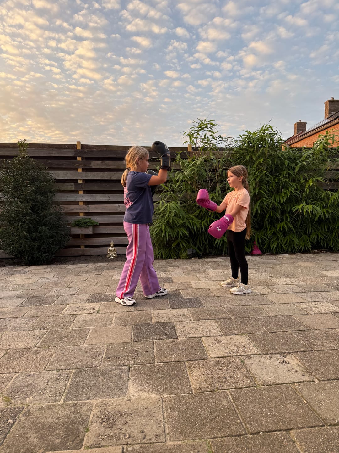 Customer photo review of Venum Bokshandschoenen Contender 1.5 XT Kinderen - Roze