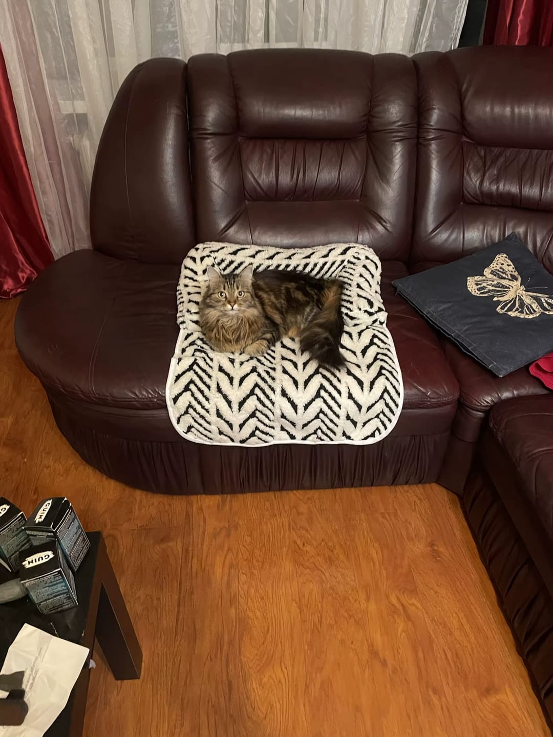 Customer photo review of Couchage protecteur de canapé — Favn
