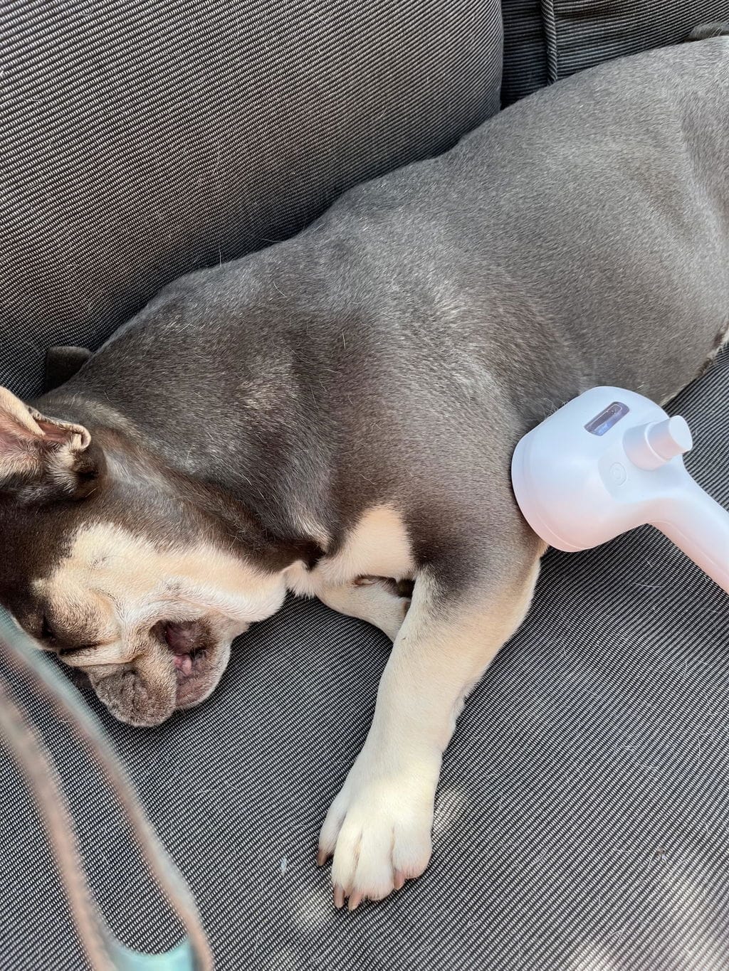 Customer photo review of Test produkt