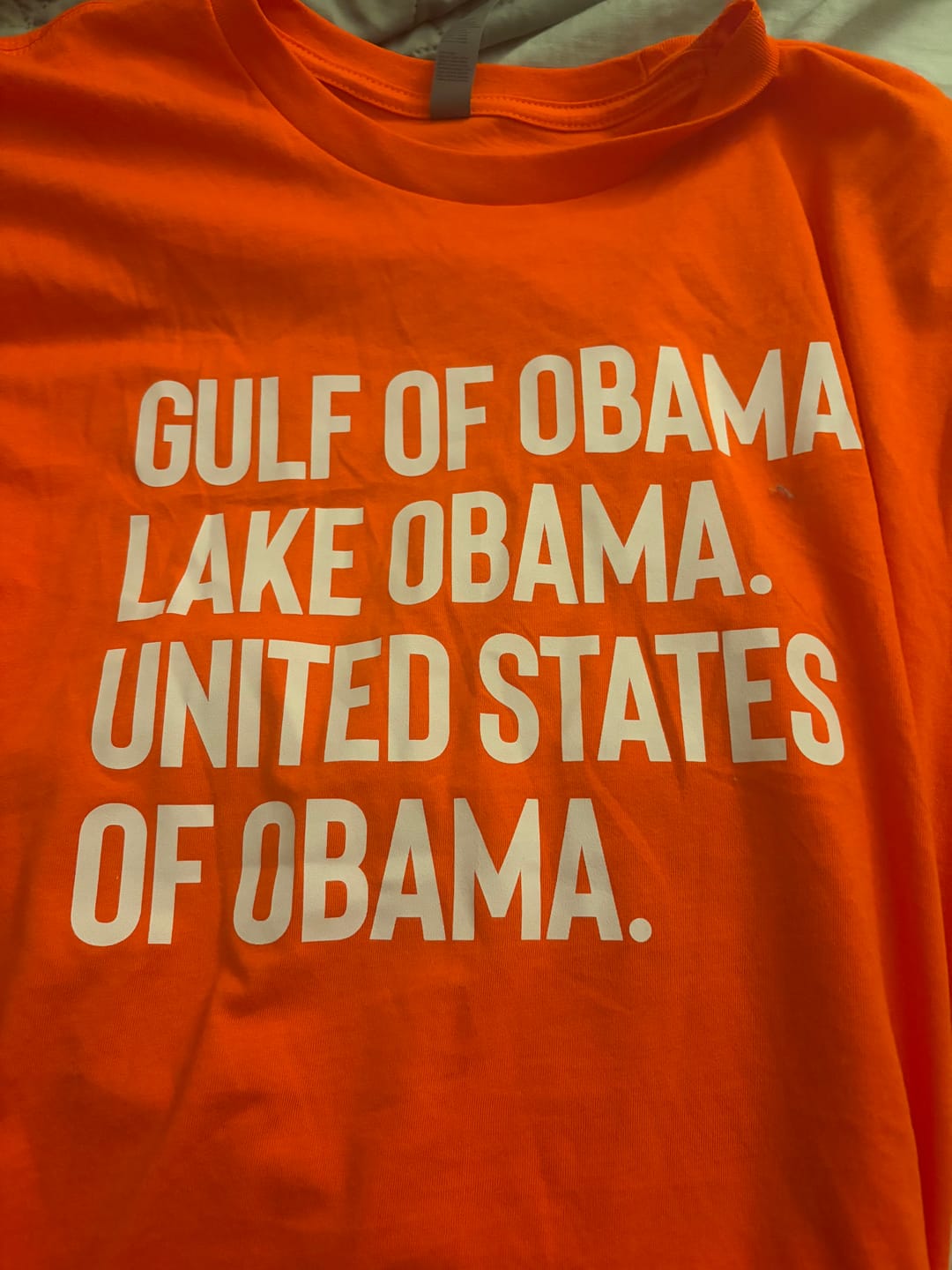 Customer photo review of Gulf of Obama. Lake Obama. The United States of Obama Unisex Tee