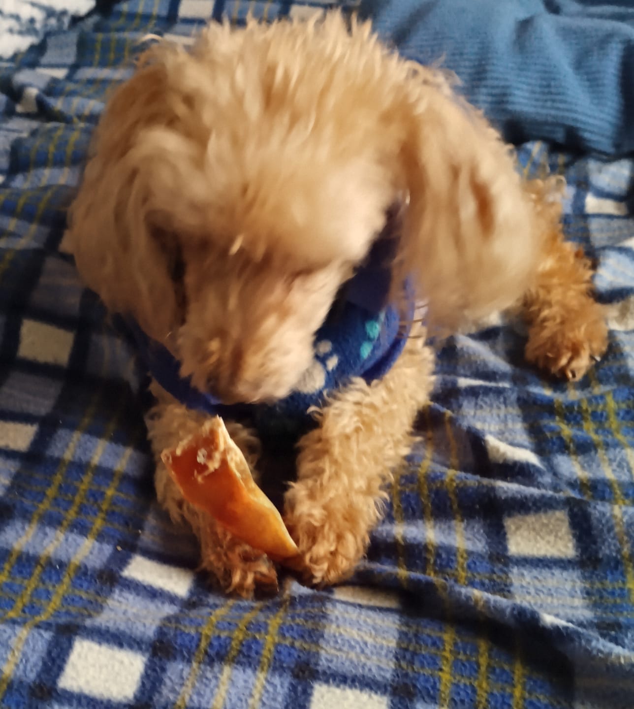 Customer photo review of Lomo de cerdo