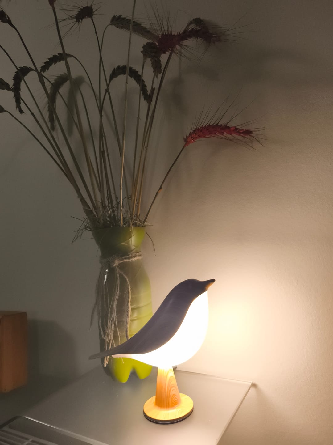 Customer photo review of BirdZen — L'oiseau qui veille sur vos soirées