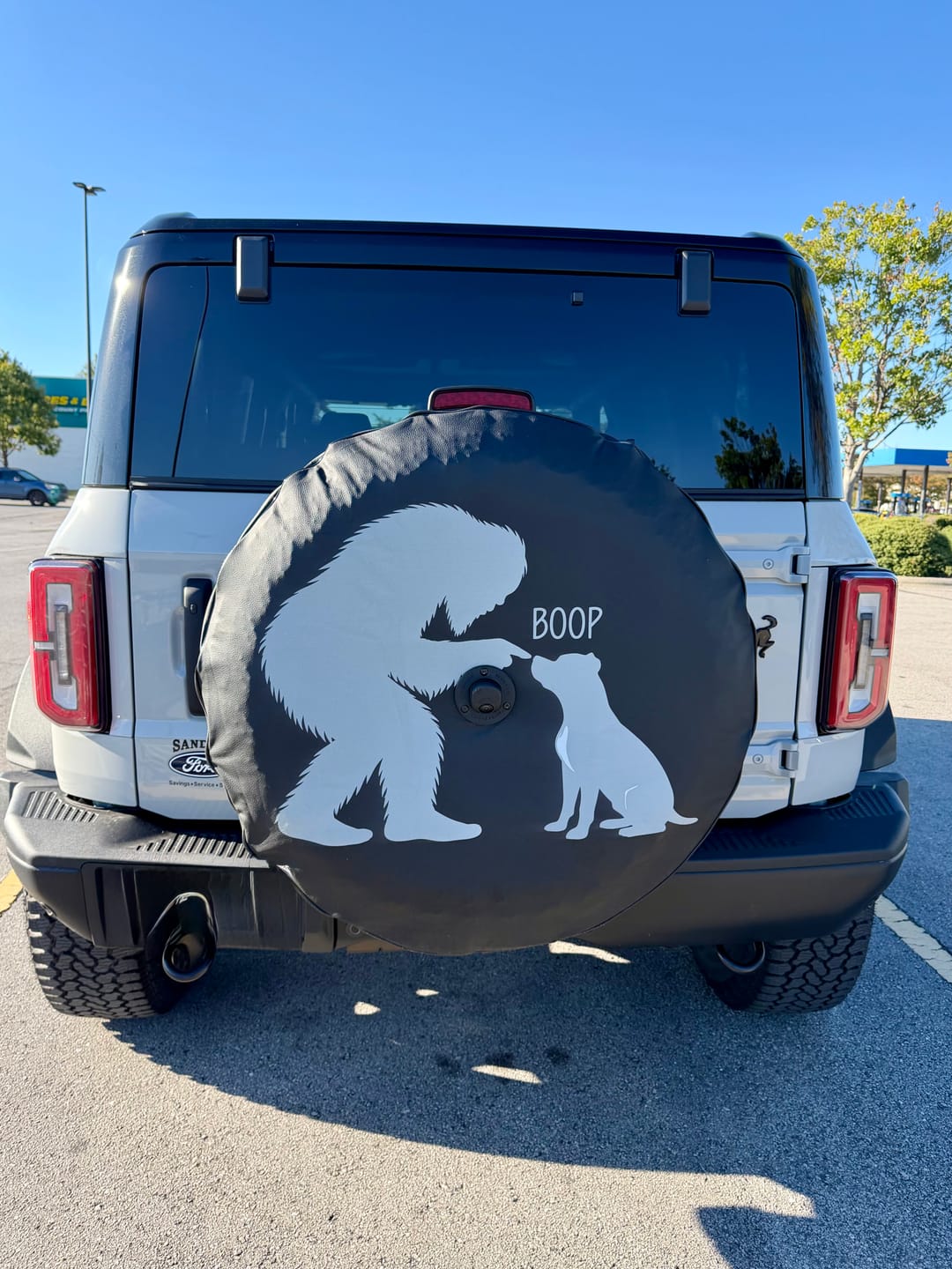 Customer photo review of Custom FORD BRONCO Tire Cover